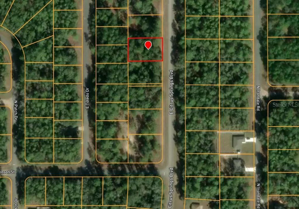 Photo of 1495 E Citrus Springs Boulevard, Citrus Springs, FL 34434 (MLS # TB8530044)
