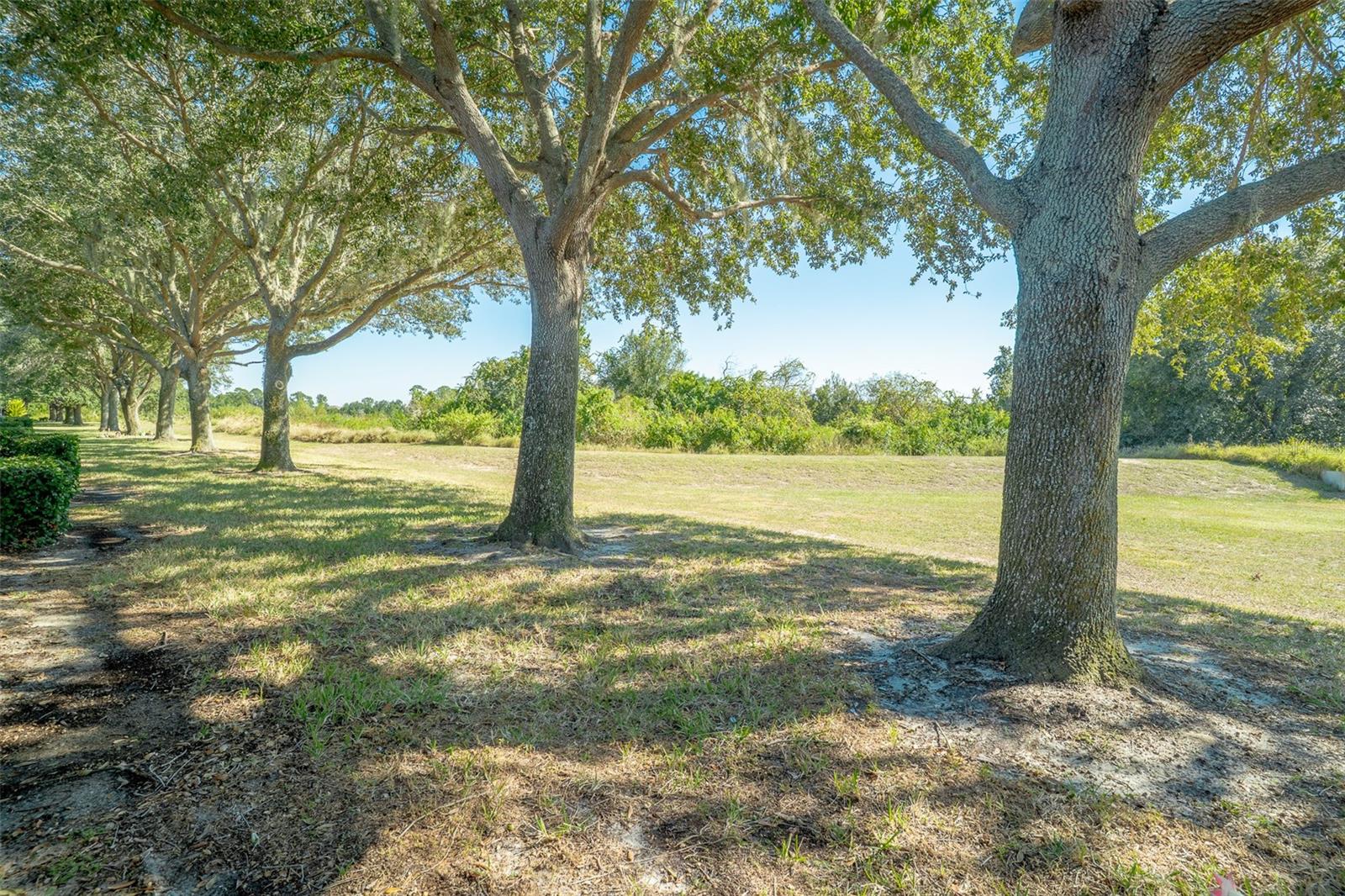 TRADITIONS PH 1 - Residential