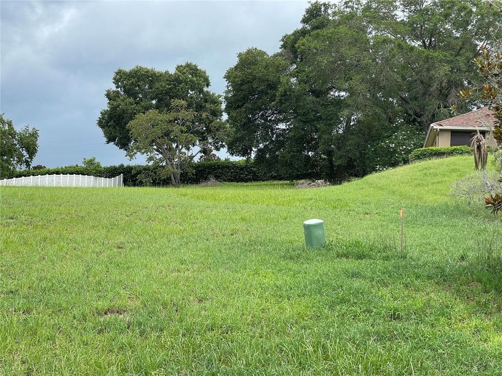 Photo of 51 Magnolia Terrace Boulevard, Montverde, FL 34756 (MLS # O6391315)