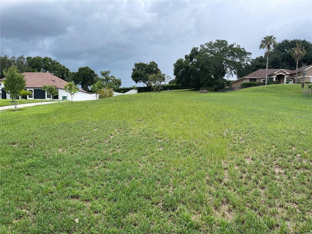 Photo of 51 Magnolia Terrace Boulevard, Montverde, FL 34756 (MLS # O6391315)