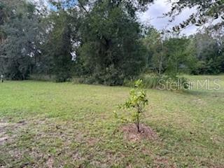 SILVER SPGS SHORES UN 19 - Residential