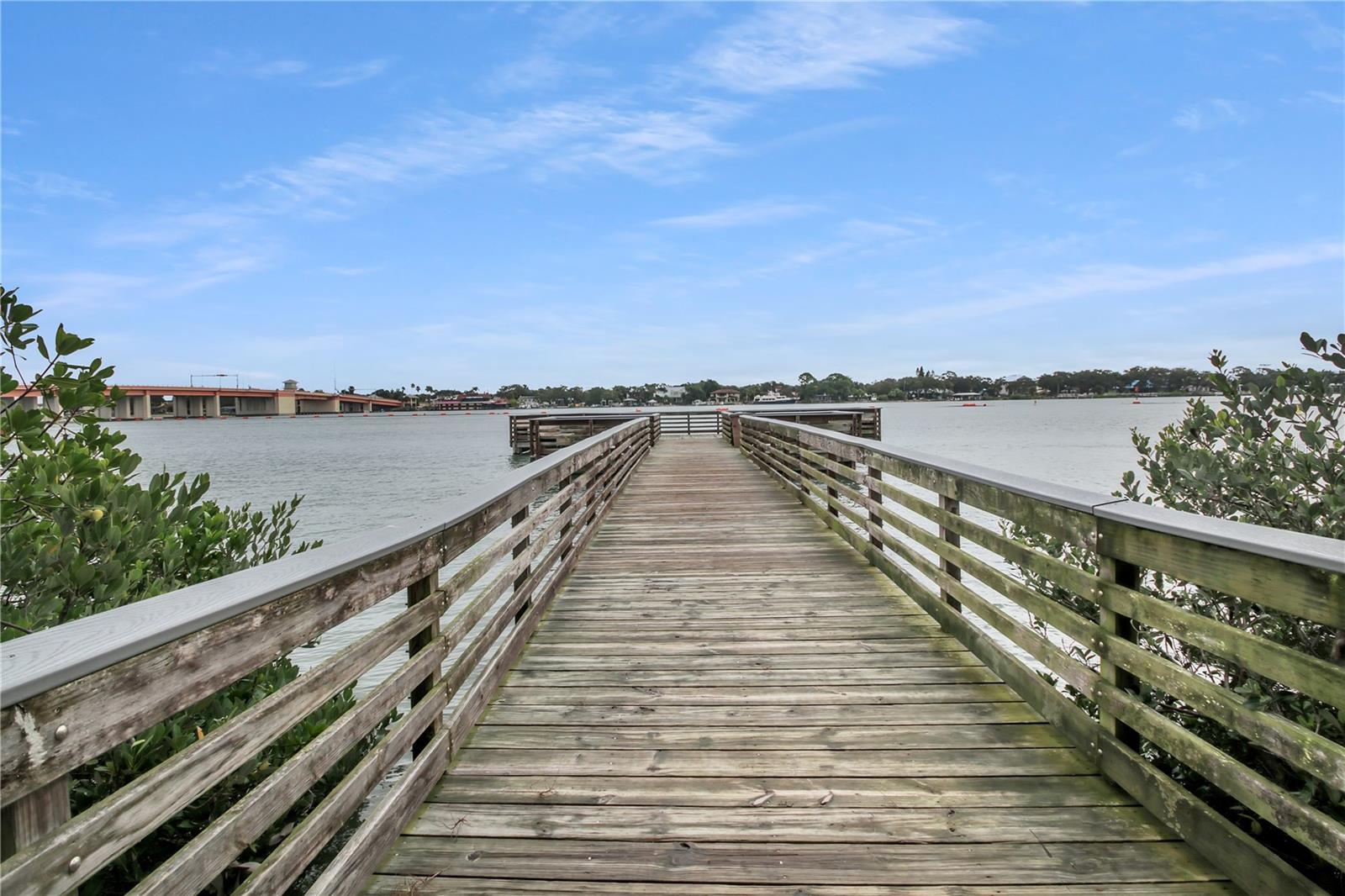 BUENA VISTA SHORES - Residential