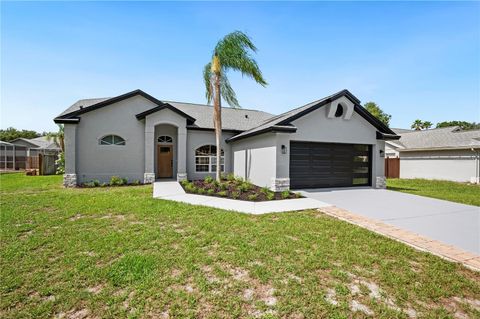 A home in RIVERVIEW