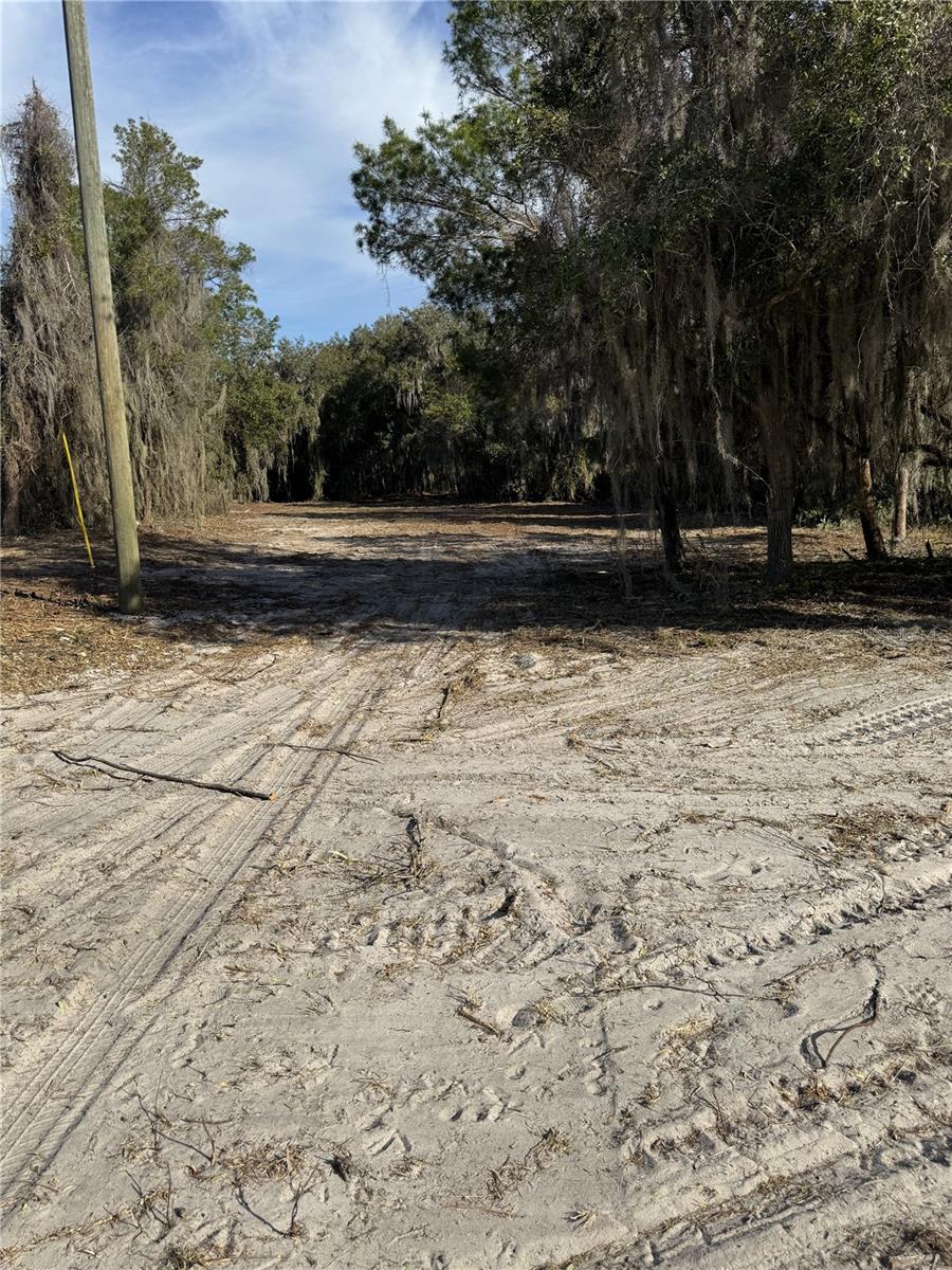 OCKLAWAHA DRIVE