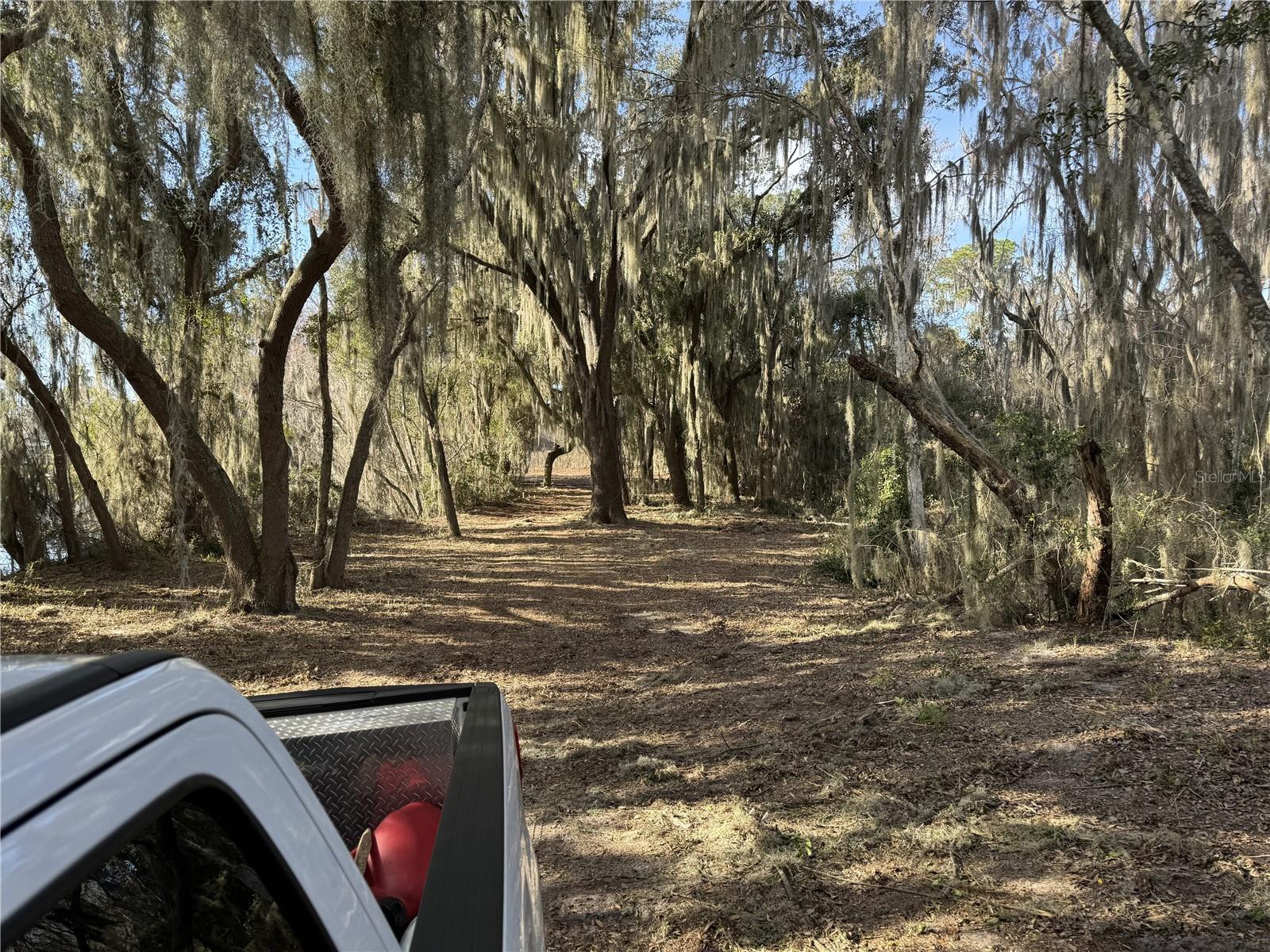 OCKLAWAHA DRIVE