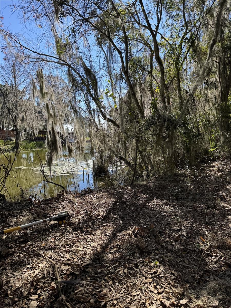 OCKLAWAHA DRIVE