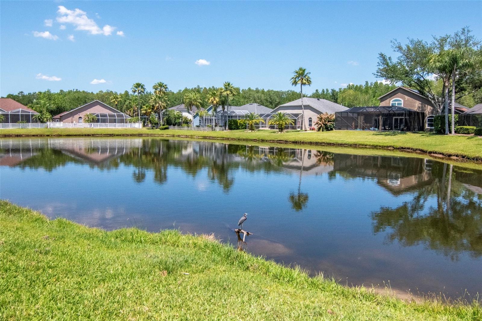 VILLAROSA PH G - Residential