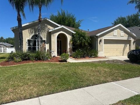 Photo of 19103 Wind Dancer Street, Lutz, FL 33558 (MLS # TB8499963)