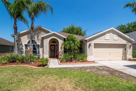 Photo of 19103 Wind Dancer Street, Lutz, FL 33558 (MLS # TB8499963)