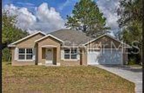 Photo of 4 Malauka Radial Pass, Ocklawaha, FL 32179 (MLS # G5108724)