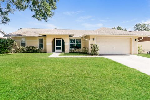 Photo of 1614 Dusty Rose Lane, Brandon, FL 33510 (MLS # O6343527)