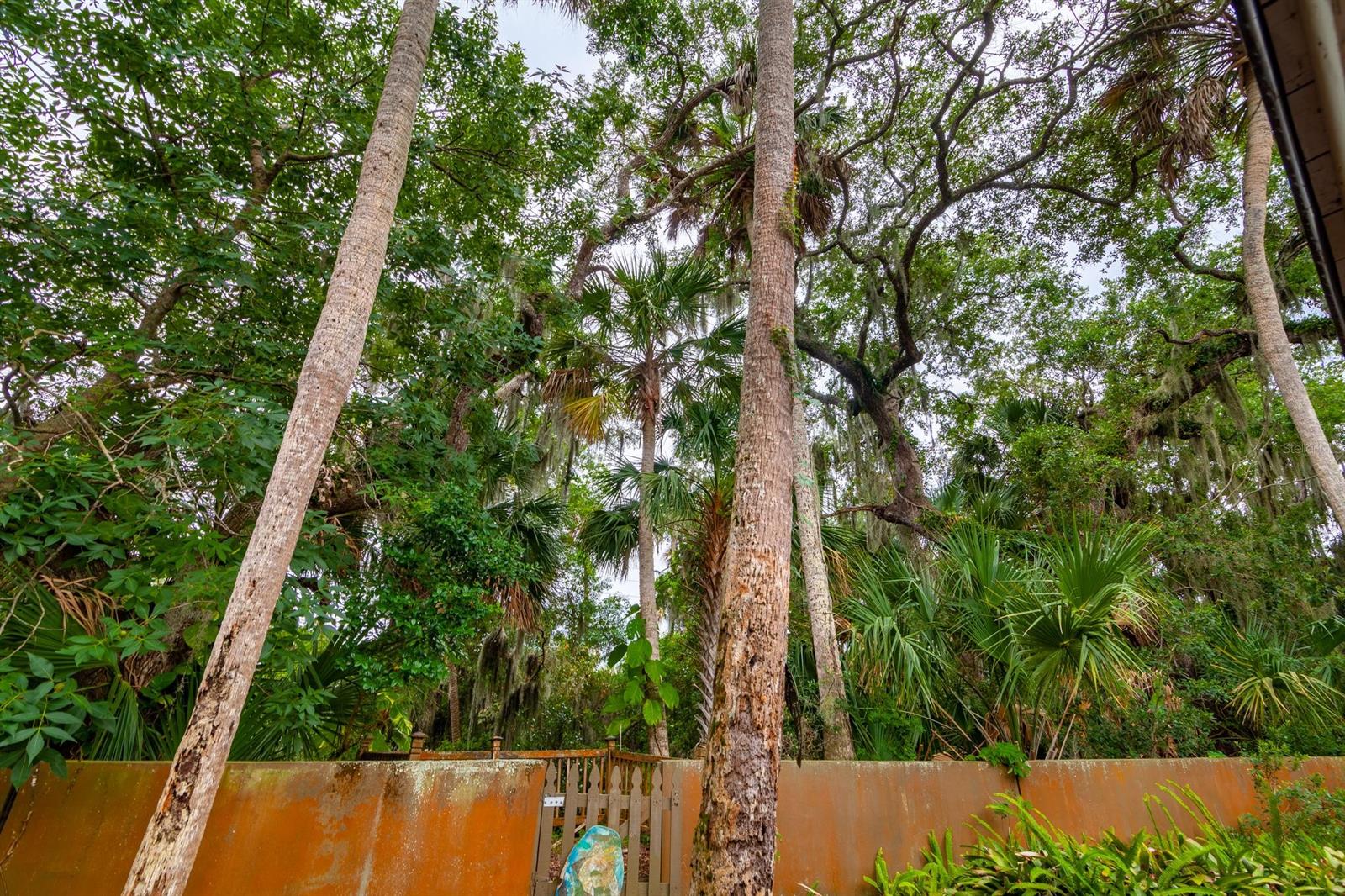 Snider Pickett Grant New Smyrna - Residential