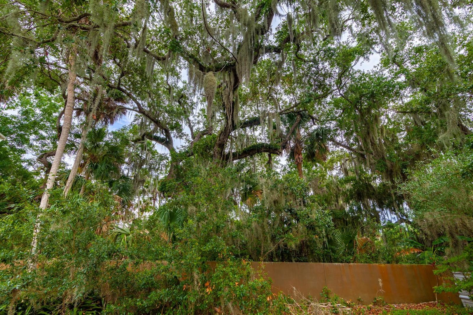 Snider Pickett Grant New Smyrna - Residential