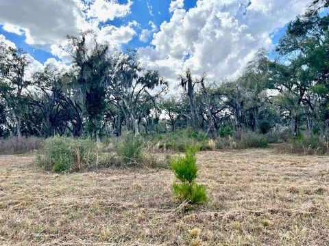 Tiny photo for 2351 NE Highway 41, Williston, FL 32696 (MLS # OM719626)