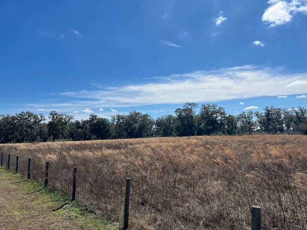 Photo of 2351 NE Highway 41, Williston, FL 32696 (MLS # OM719626)