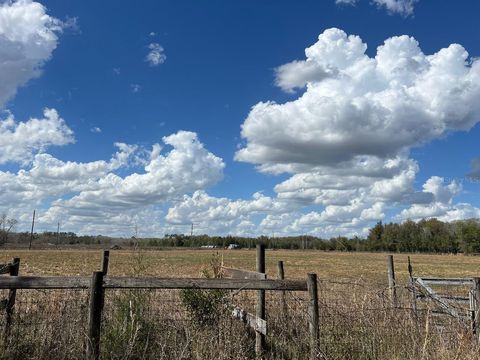 Tiny photo for 2351 NE Highway 41, Williston, FL 32696 (MLS # OM719626)