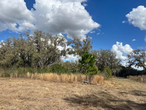 Tiny photo for 2351 NE Highway 41, Williston, FL 32696 (MLS # OM719626)