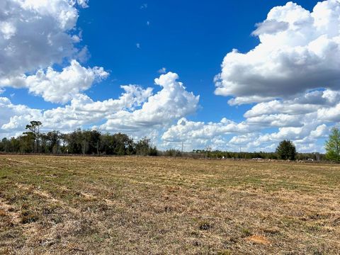 Tiny photo for 2351 NE Highway 41, Williston, FL 32696 (MLS # OM719626)