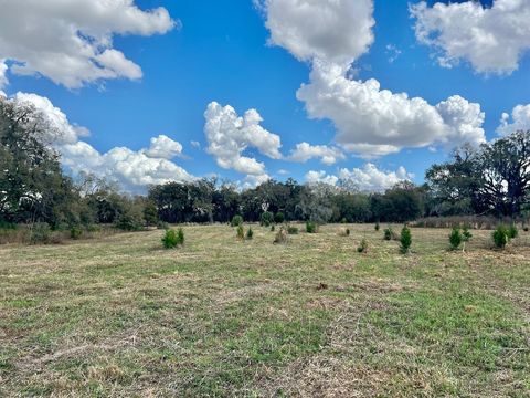 Tiny photo for 2351 NE Highway 41, Williston, FL 32696 (MLS # OM719626)