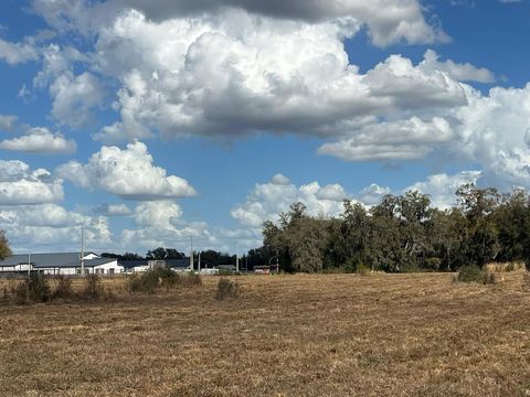 Tiny photo for 2351 NE Highway 41, Williston, FL 32696 (MLS # OM719626)