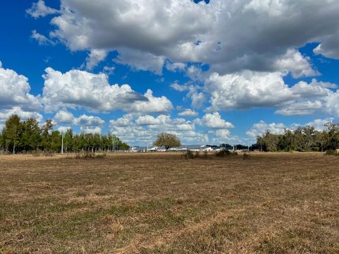 Tiny photo for 2351 NE Highway 41, Williston, FL 32696 (MLS # OM719626)