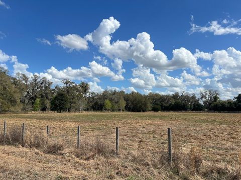 Tiny photo for 2351 NE Highway 41, Williston, FL 32696 (MLS # OM719626)
