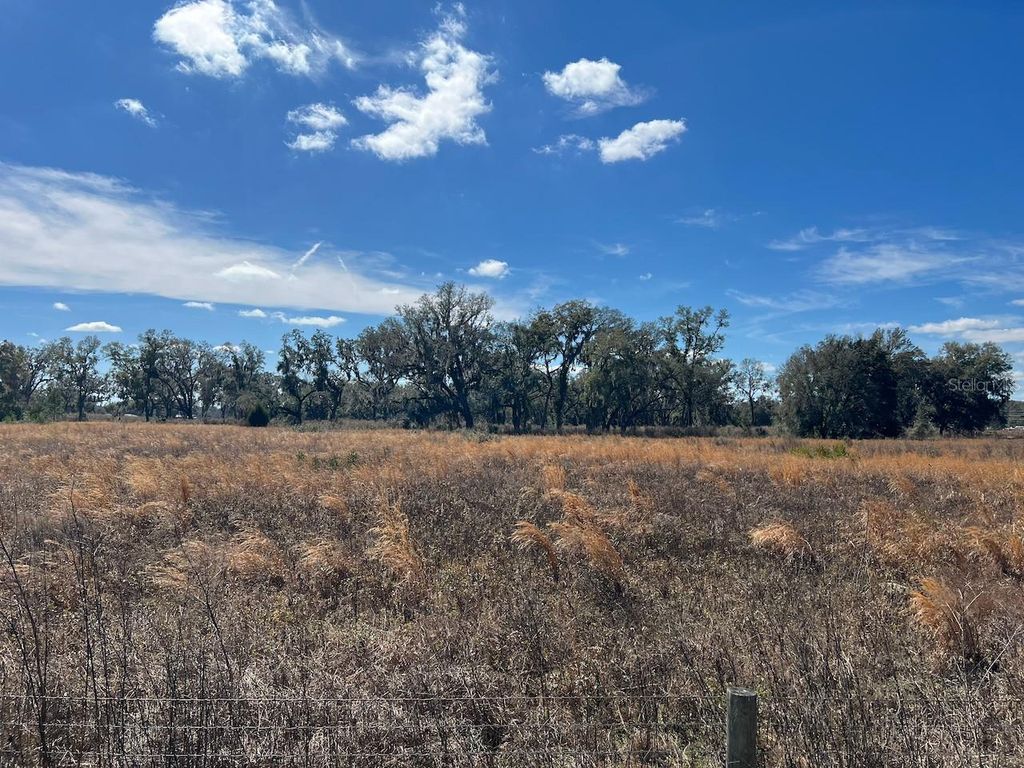 Photo of 2351 NE Highway 41, Williston, FL 32696 (MLS # OM719626)