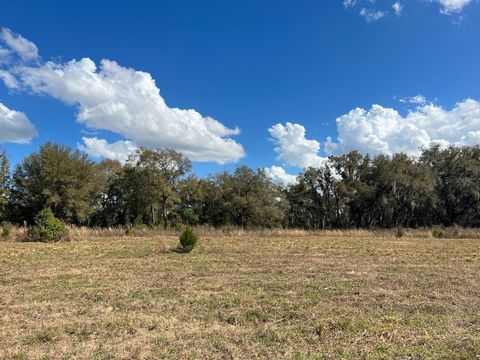 Tiny photo for 2351 NE Highway 41, Williston, FL 32696 (MLS # OM719626)
