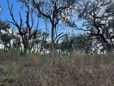 Tiny photo for 2351 NE Highway 41, Williston, FL 32696 (MLS # OM719626)