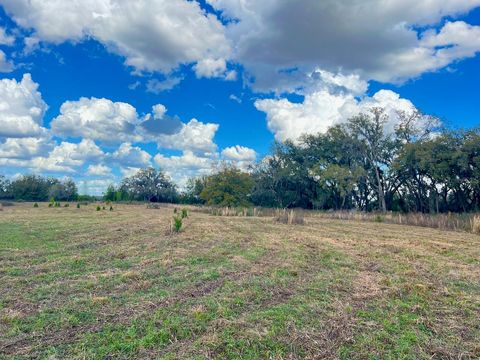 Tiny photo for 2351 NE Highway 41, Williston, FL 32696 (MLS # OM719626)