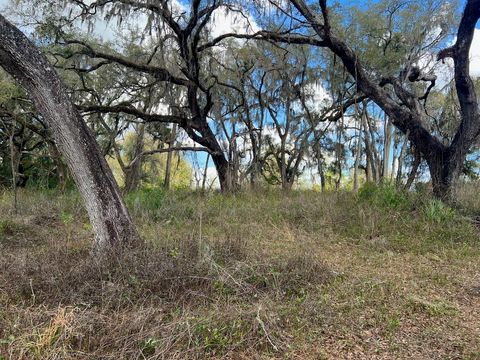 Tiny photo for 2351 NE Highway 41, Williston, FL 32696 (MLS # OM719626)