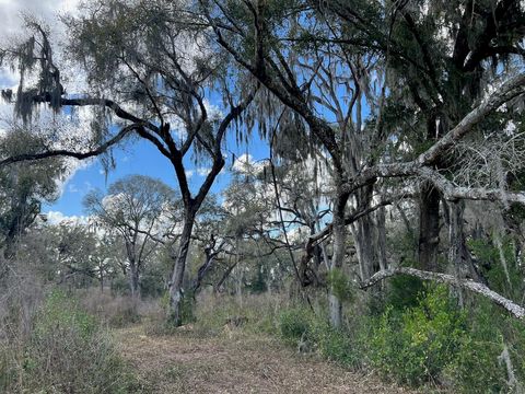 Tiny photo for 2351 NE Highway 41, Williston, FL 32696 (MLS # OM719626)