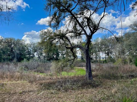 Tiny photo for 2351 NE Highway 41, Williston, FL 32696 (MLS # OM719626)
