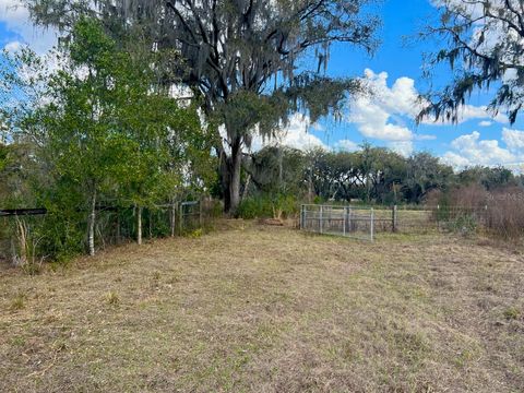 Tiny photo for 2351 NE Highway 41, Williston, FL 32696 (MLS # OM719626)