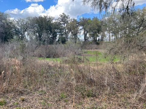 Tiny photo for 2351 NE Highway 41, Williston, FL 32696 (MLS # OM719626)
