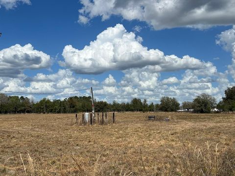 Tiny photo for 2351 NE Highway 41, Williston, FL 32696 (MLS # OM719626)