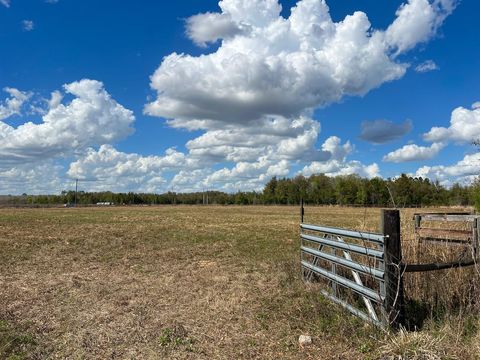 Tiny photo for 2351 NE Highway 41, Williston, FL 32696 (MLS # OM719626)