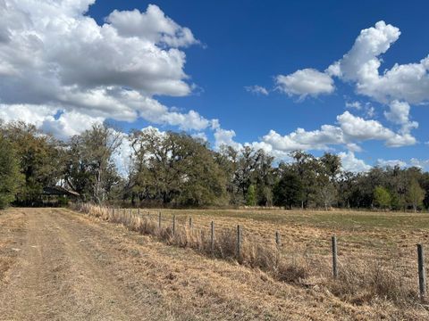 Tiny photo for 2351 NE Highway 41, Williston, FL 32696 (MLS # OM719626)