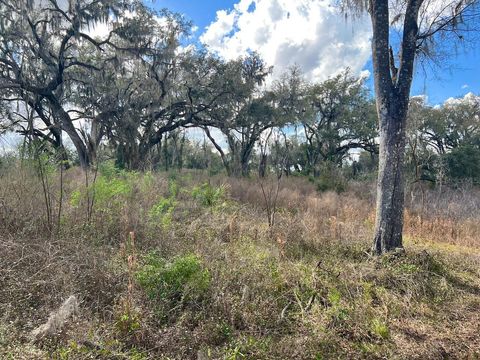 Tiny photo for 2351 NE Highway 41, Williston, FL 32696 (MLS # OM719626)
