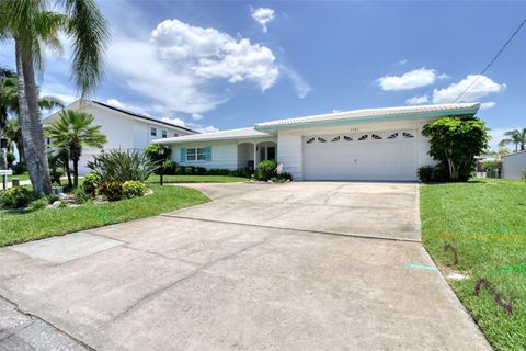 A home in DUNEDIN