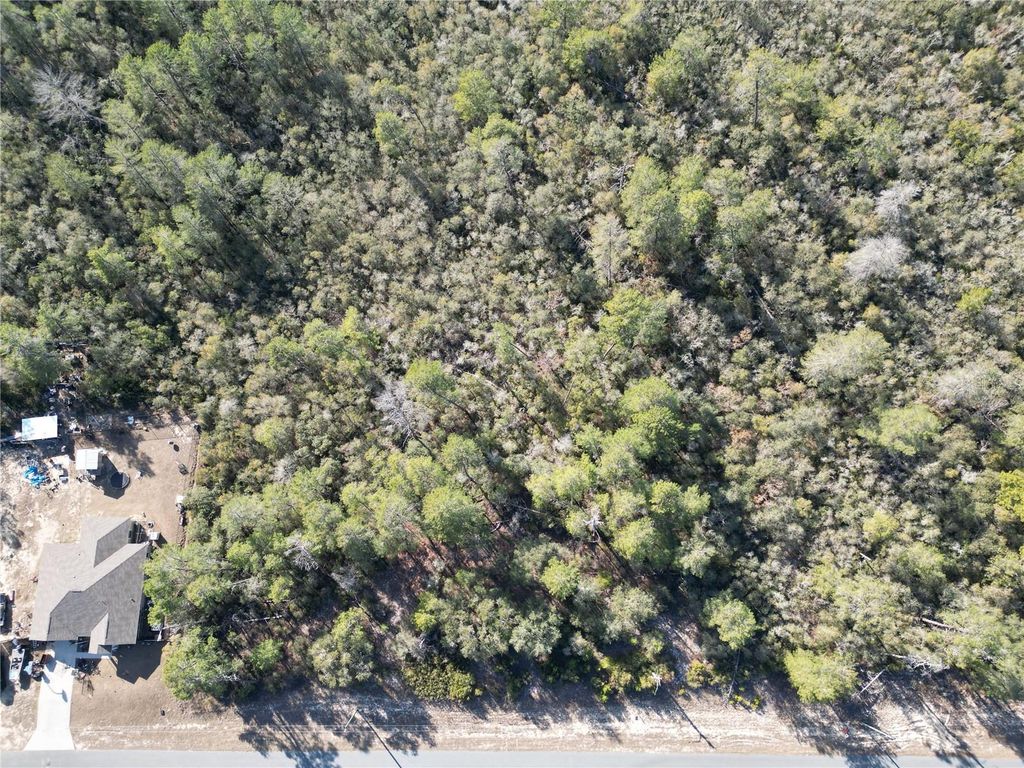 Photo of 0000 SW 170th Loop, Ocala, FL 34473 (MLS # G5107996)