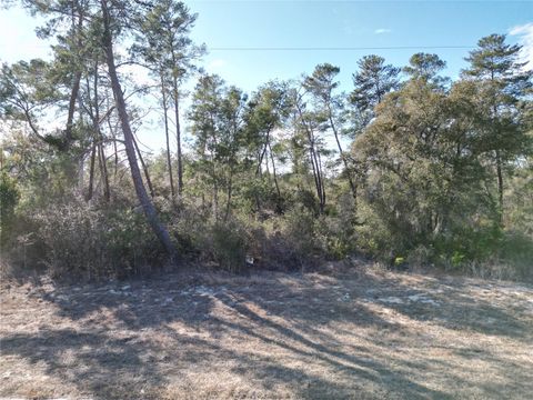 0000 SW 170TH LOOP OCALA FL 34473