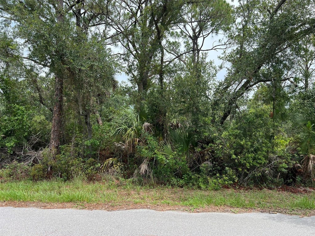 Photo of 13414 Carrie Avenue, Port Charlotte, FL 33953 (MLS # N6145067)
