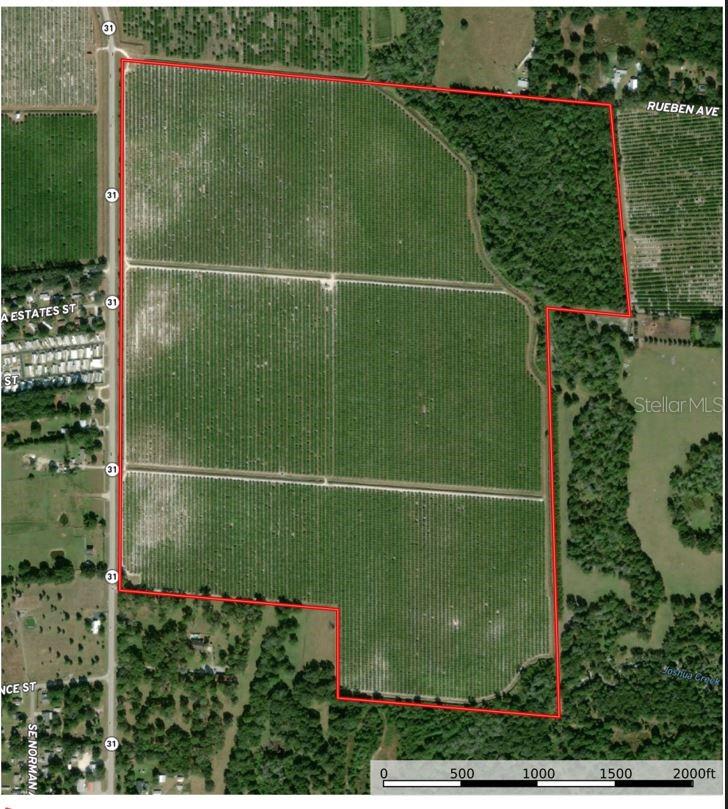 235 acres of producing orange grove, zoned A-5, and has 8” and 10” wells. Close to town with future development for the investor.