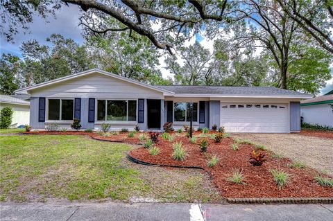 A home in TAMPA