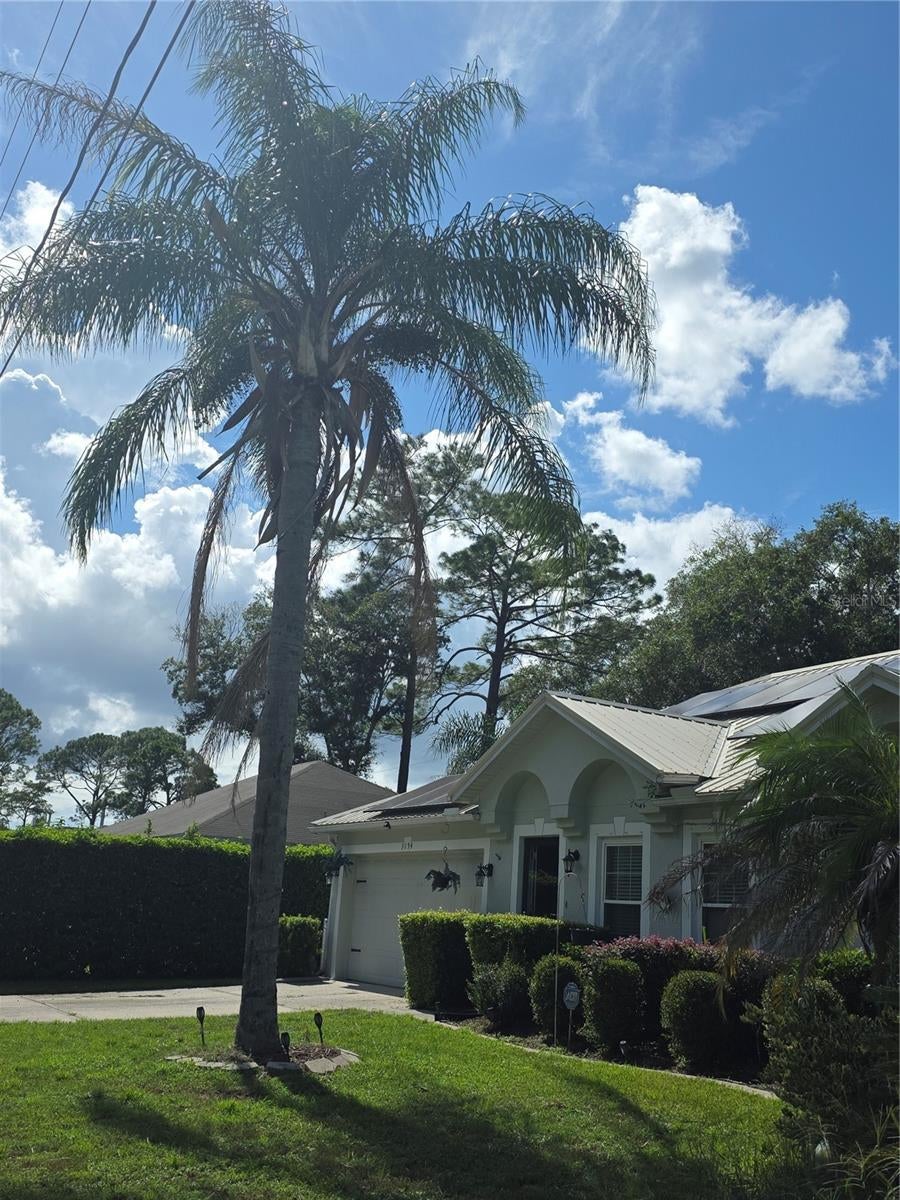 3154 SNOW DRIVE