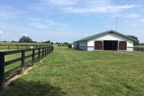 295 NE 110TH STREET OCALA FL 34479