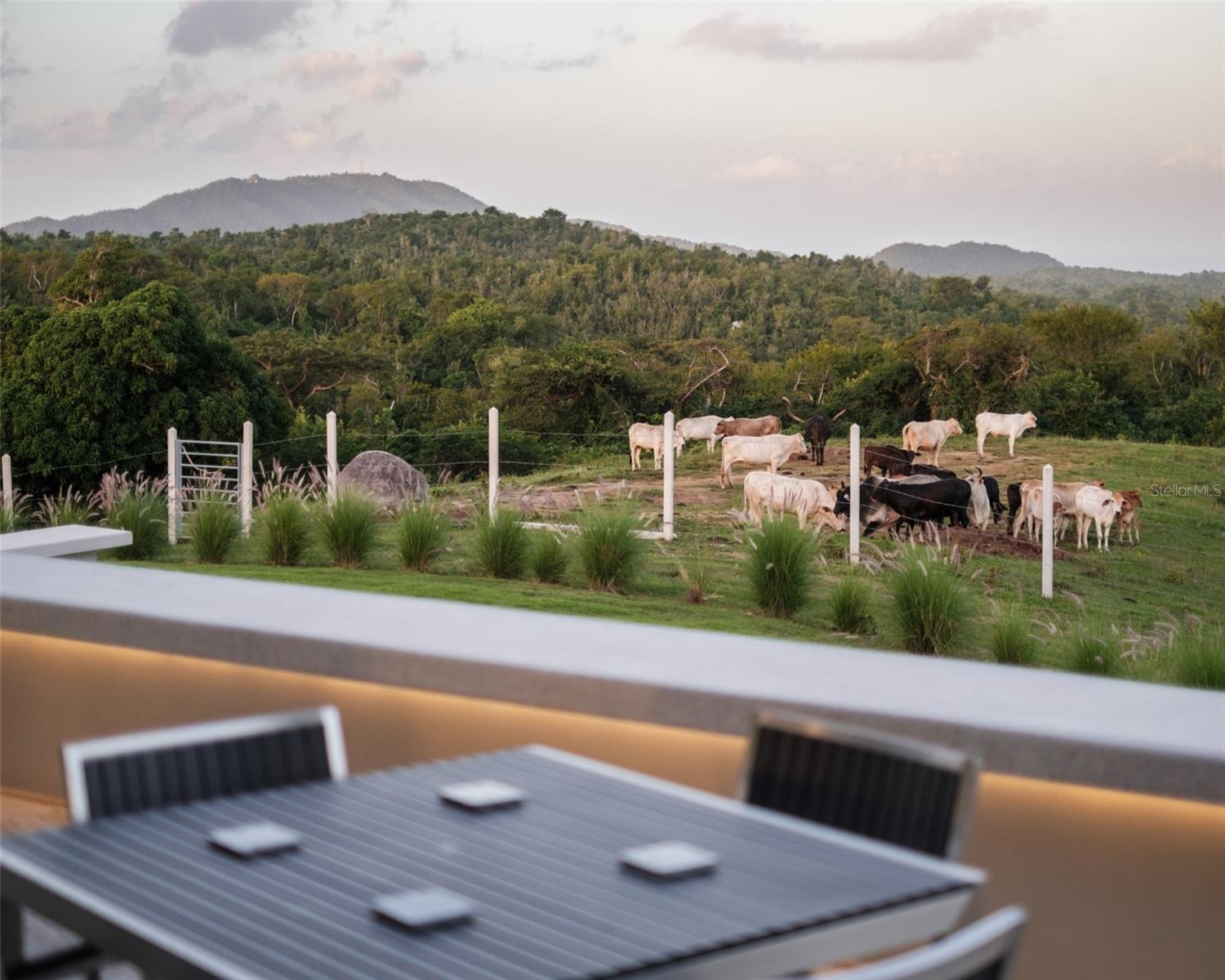 LA LLAVE SECTOR OF PUERTO REAL - Residential