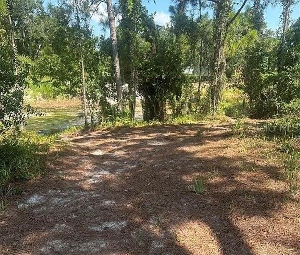 Photo of 371 E Canal Way NE, Lake Placid, FL 33852 (MLS # TB8354073)