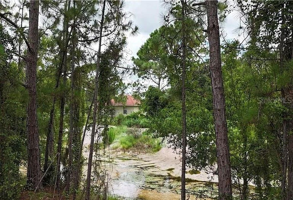 Photo of 371 E Canal Way NE, Lake Placid, FL 33852 (MLS # TB8354073)